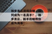 独步青云游戏攻略，如何成为一名高手？，独步青云，新手攻略教你成为高手
