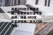 沛县SEO优化策略详解，从零开始打造专业品牌，沛县 SEO优化实战指南，从入门到精通！