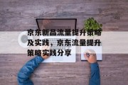 京东新品流量提升策略及实践,京东流量提升策略实践分享 京东新品流量提升策略及实践,京东流量提升策略实践分享