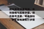 提升新号流量等级,有效策略与实施步骤,提升新号流量,明确目标、制定策略及执行步骤 提升新号流量等级,有效策略与实施步骤,提升新号流量,明确目标、制定策略及执行步骤