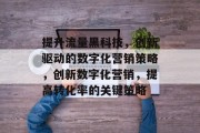 提升流量黑科技，创新驱动的数字化营销策略，创新数字化营销，提高转化率的关键策略