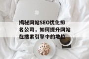 揭秘网站SEO优化排名公司，如何提升网站在搜索引擎中的地位