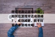 胖妞逆袭记游戏攻略,如何在游戏中达成巅峰?,成功减肥,新手玩家必备游戏攻略