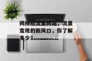揭秘放流量网站,流量变现的新风口,你了解多少? 揭秘放流量网站,流量变现的新风口,你了解多少?