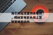 海尔网站流量持续攀升，揭秘家电巨头线上营销策略新动向