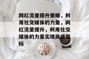 网红流量提升策略，利用社交媒体的力量，网红流量提升，利用社交媒体的力量实现商业目标