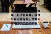 提升平台流量等级,策略、方法和实践,提升平台流量等级,策略与实践 提升平台流量等级,策略、方法和实践,提升平台流量等级,策略与实践
