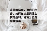 流量网站卖,盈利的秘密,如何在流量网站上实现盈利,秘诀分析与实践指南 流量网站卖,盈利的秘密,如何在流量网站上实现盈利,秘诀分析与实践指南