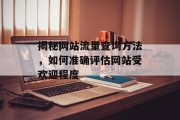 揭秘网站流量查询方法，如何准确评估网站受欢迎程度
