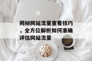 揭秘网站流量查看技巧,全方位解析如何准确评估网站流量 揭秘网站流量查看技巧,全方位解析如何准确评估网站流量