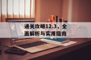 通关攻略12.3,全面解析与实用指南 通关攻略12.3,全面解析与实用指南