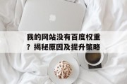 我的网站没有百度权重？揭秘原因及提升策略