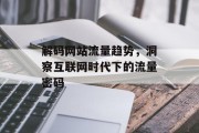 解码网站流量趋势,洞察互联网时代下的流量密码 解码网站流量趋势,洞察互联网时代下的流量密码