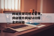 网站关键词排名查询，揭秘提升网站SEO排名的秘籍