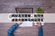 揭秘高效策略，如何快速提升做神马网站排名
