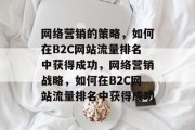 网络营销的策略,如何在B2C网站流量排名中获得成功,网络营销战略,如何在B2C网站流量排名中获得成功 网络营销的策略,如何在B2C网站流量排名中获得成功,网络营销战略,如何在B2C网站流量排名中获得成功