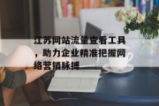 江苏网站流量查看工具，助力企业精准把握网络营销脉搏