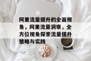 阿里流量提升的全面视角,阿里流量洞察,全方位视角探索流量提升策略与实践