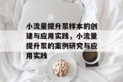 小流量提升泵样本的创建与应用实践,小流量提升泵的案例研究与应用实践 小流量提升泵样本的创建与应用实践,小流量提升泵的案例研究与应用实践