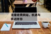流量收费网站,机遇与挑战并存 流量收费网站,机遇与挑战并存