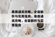 暴雨通关攻略，全面解析与实用指南，暴雨通关攻略，全面解析与实用指南