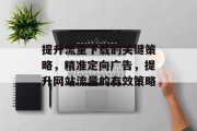 提升流量下载的关键策略,精准定向广告,提升网站流量的有效策略 提升流量下载的关键策略,精准定向广告,提升网站流量的有效策略