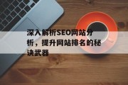 深入解析SEO网站分析,提升网站排名的秘诀武器 深入解析SEO网站分析,提升网站排名的秘诀武器