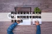 网站流量查询工具大揭秘,如何精准掌握网站流量动态 网站流量查询工具大揭秘,如何精准掌握网站流量动态
