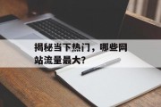 揭秘当下热门，哪些网站流量最大？