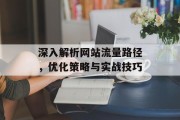 深入解析网站流量路径,优化策略与实战技巧 深入解析网站流量路径,优化策略与实战技巧