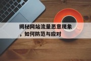 揭秘网站流量恶意现象,如何防范与应对 揭秘网站流量恶意现象,如何防范与应对