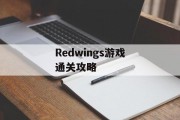Redwings游戏通关攻略 Redwings游戏通关攻略