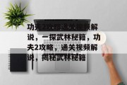 功夫2攻略通关视频解说,一探武林秘籍,功夫2攻略,通关视频解说,揭秘武林秘籍 功夫2攻略通关视频解说,一探武林秘籍,功夫2攻略,通关视频解说,揭秘武林秘籍