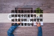 网站流量分析数据在营销策略中的重要性,网站流量分析,网络营销的至关重要指标 网站流量分析数据在营销策略中的重要性,网站流量分析,网络营销的至关重要指标