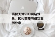 揭秘天津SEO网站效果,优化策略与成功案例分享 揭秘天津SEO网站效果,优化策略与成功案例分享
