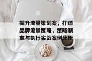 提升流量策划案，打造品牌流量策略，策略制定与执行实战案例分析