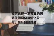 如何选择一家专业的网站关键词SEO优化公司,提升网站排名 如何选择一家专业的网站关键词SEO优化公司,提升网站排名