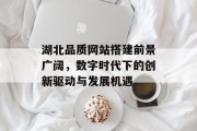 湖北品质网站搭建前景广阔,数字时代下的创新驱动与发展机遇 湖北品质网站搭建前景广阔,数字时代下的创新驱动与发展机遇