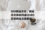 SEO网站月光，揭秘月光族如何通过SEO实现网站流量翻倍