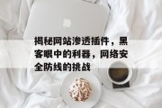 揭秘网站渗透插件,黑客眼中的利器,网络安全防线的挑战 揭秘网站渗透插件,黑客眼中的利器,网络安全防线的挑战