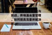 提升井流量的重要性与挑战，井场涌水量管理，如何提高流量并解决挑战?