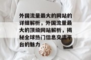 外国流量最大的网站的详细解析，外国流量最大的顶级网站解析，揭秘全球热门信息交流平台的魅力