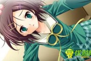 日本恋爱攻略游戏(日本恋爱攻略游戏网站)