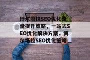 博尔塔拉SEO优化流量提升策略，一站式SEO优化解决方案，博尔塔拉SEO优化策略