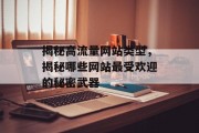 揭秘高流量网站类型,揭秘哪些网站最受欢迎的秘密武器 揭秘高流量网站类型,揭秘哪些网站最受欢迎的秘密武器