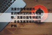 流量价值专项提升—企业战略转型的助力与保障,流量价值专项提升,企业发展策略的转型护航 流量价值专项提升—企业战略转型的助力与保障,流量价值专项提升,企业发展策略的转型护航