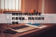 揭秘SEO网站刷排名的黑暗面,风险与应对策略 揭秘SEO网站刷排名的黑暗面,风险与应对策略