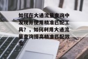 如何在大通流量查询中发现并使用精准匹配工具？，如何利用大通流量查询提高精准匹配效率