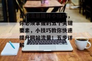 自然流量提升小技巧,你必须掌握的五个关键要素,小技巧教你快速提升网站流量!五步详解 自然流量提升小技巧,你必须掌握的五个关键要素,小技巧教你快速提升网站流量!五步详解