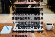 插件网站中文是一个充满变化和活力的领域。在这个领域里，互联网技术正在为用户带来许多便利的同时，也带来了一些新的挑战和问题。，互联网技术变革下的中国插件市场，机遇与挑战并存